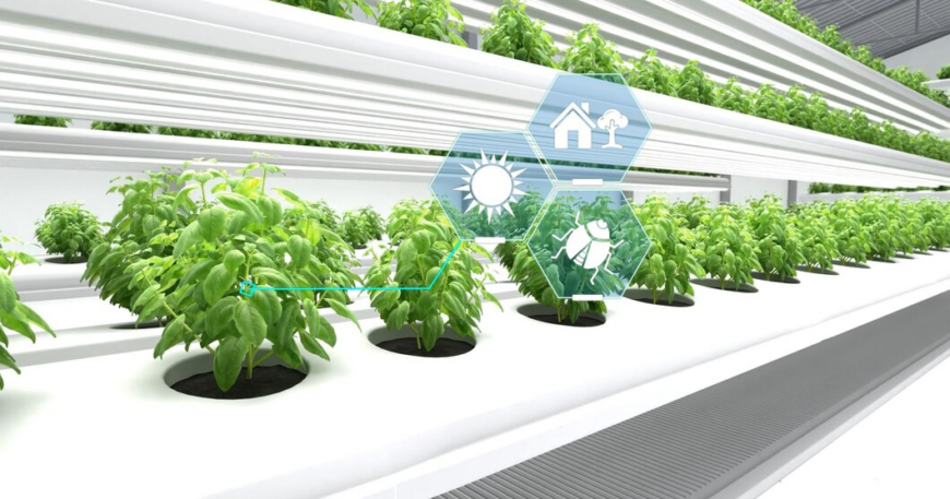 AI Transforms Agriculture